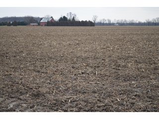 Property photo 38 - 175 Acres Offered in 5 Tracts - Tontogany, Ohio Farm Land Auction